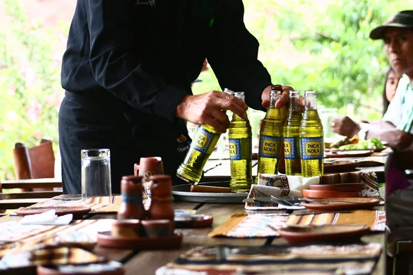 mejores bebidas típicas del Perú
